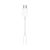 Apple USB-C to 3.5 mm Headphone Jack Adapter White