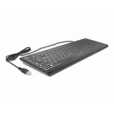 DeLock USB Keyboard wired 1.5m with XXL Letters and Illumination Black DE