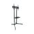 Techly, ICA-TR6 Gurulós, Padló, 30-65", LCD/LED kijelzőkhöz, állvány